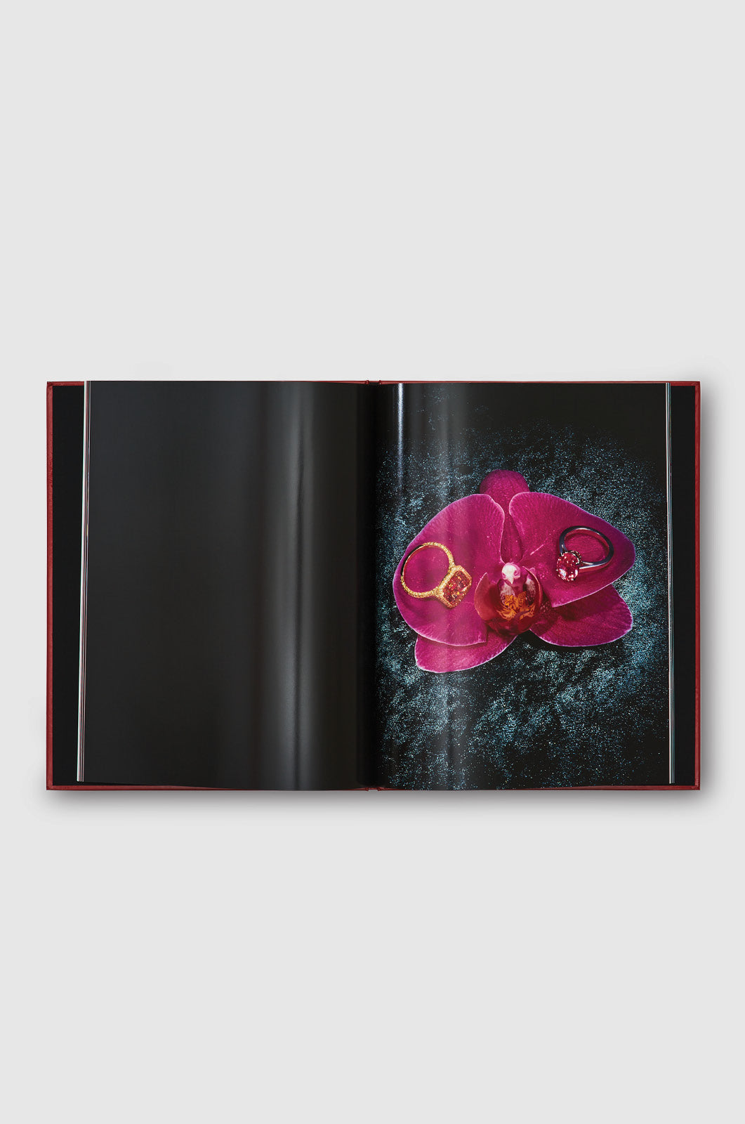 Yami No Hana: Araki’s Jewelry and Flower