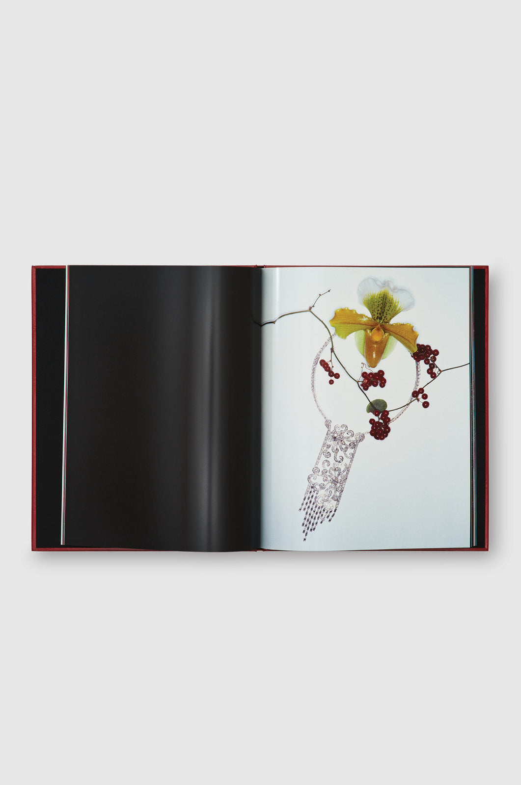 Yami No Hana: Araki’s Jewelry and Flower